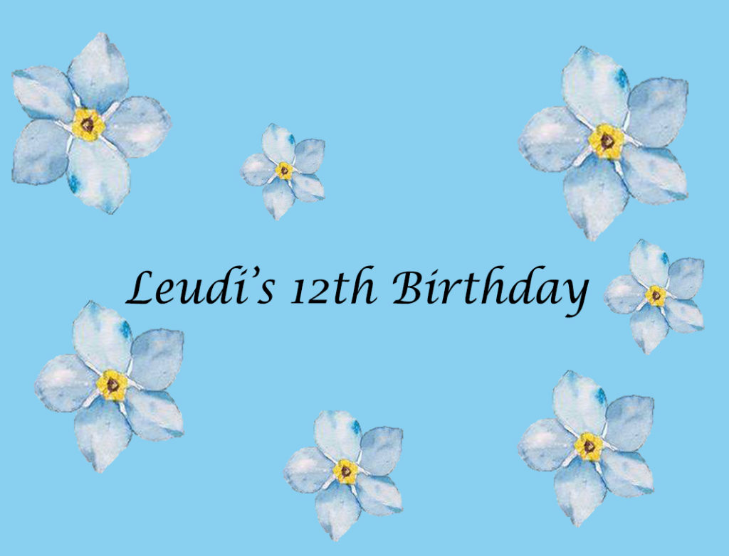 Leudi